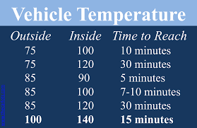 cartemp Long's Car Care Center 98072