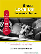 dogsinhotcars Longs car care center 98072